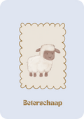 Kaart - beterschap schaap