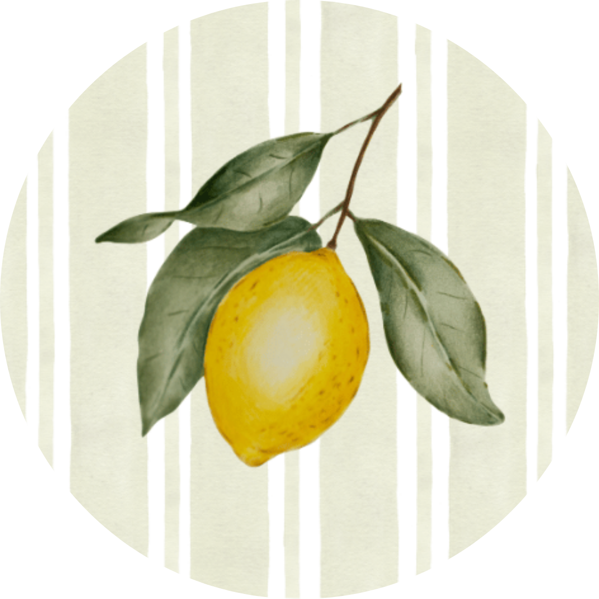 Stickers Citroen (10)