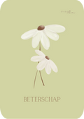 Kaart - Beterschap