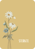 Kaart - sterkte bloemen