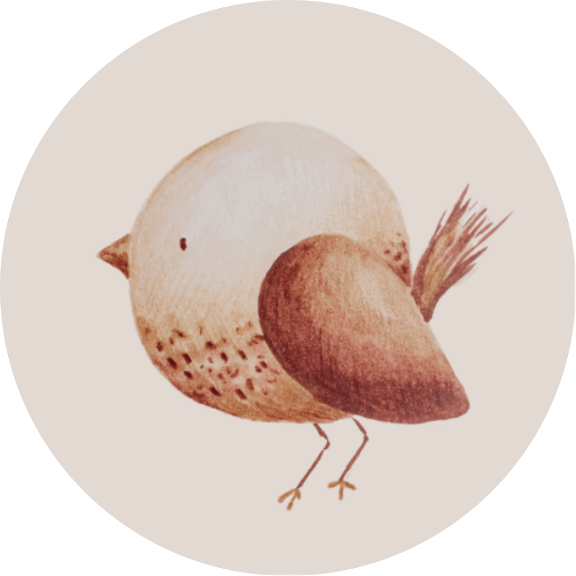 Stickers Vogel (10)