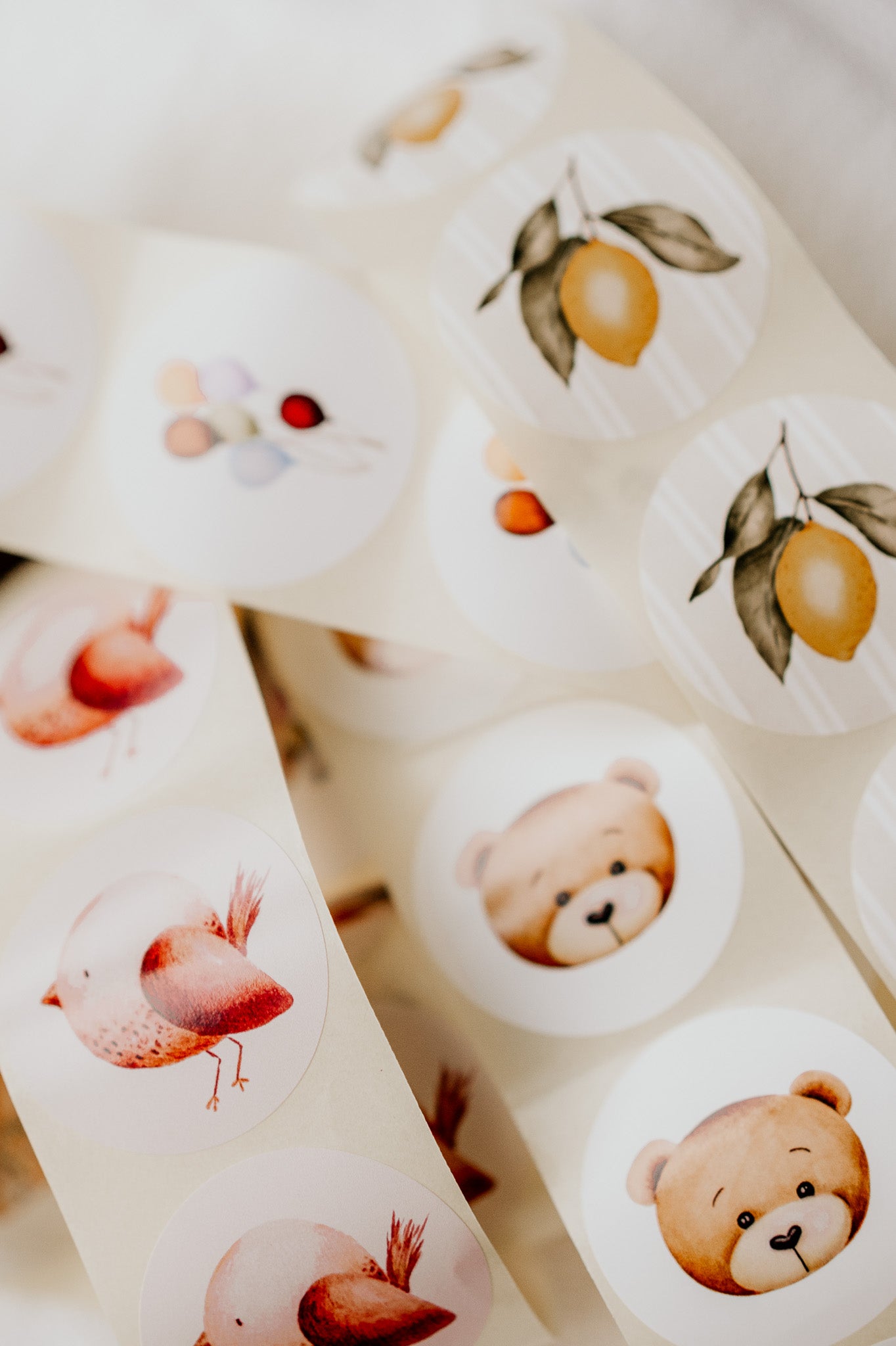 Stickers Citroen (10)