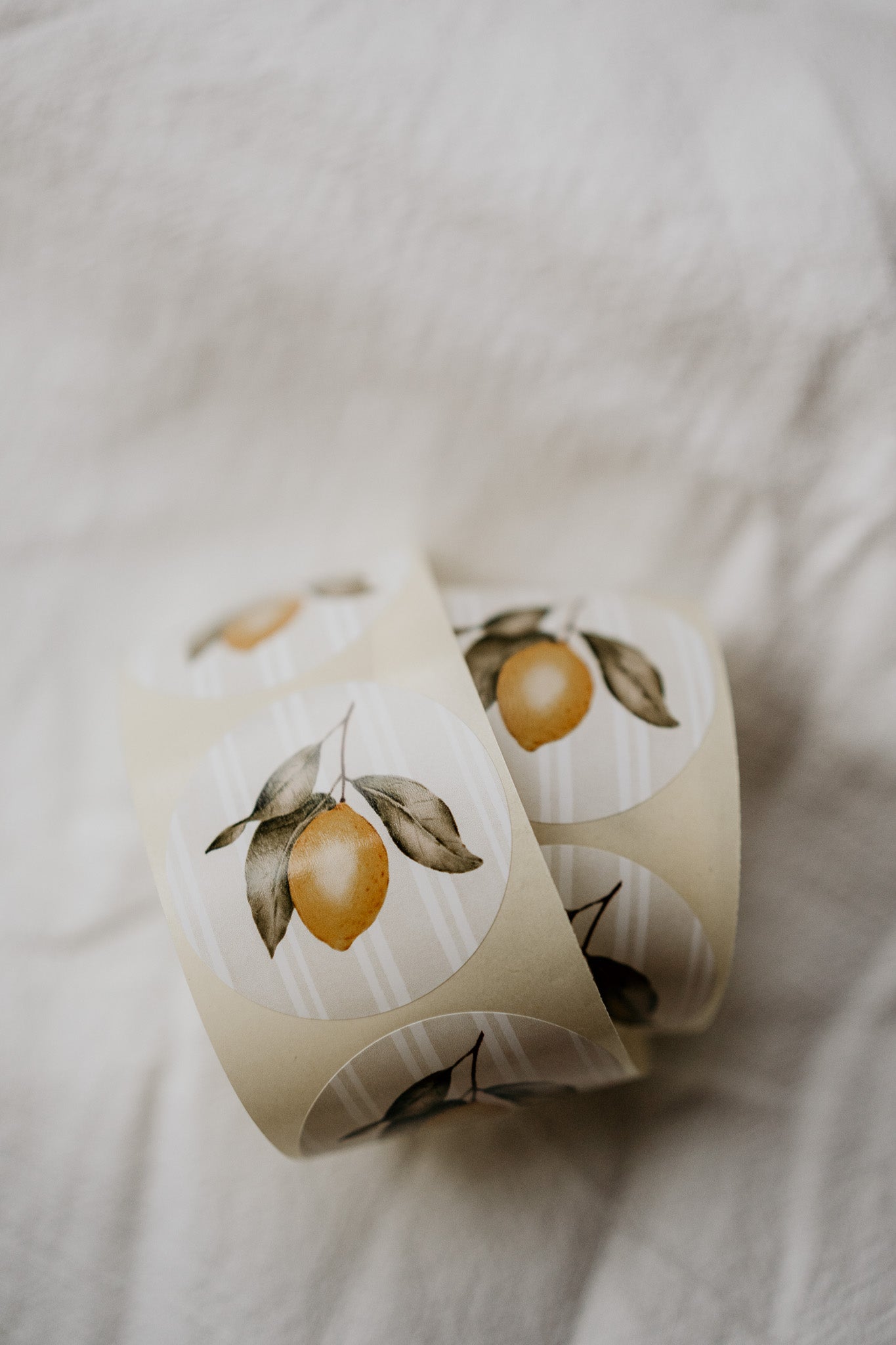 Stickers Citroen (10)